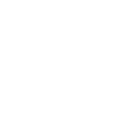 slot-winner-trophy